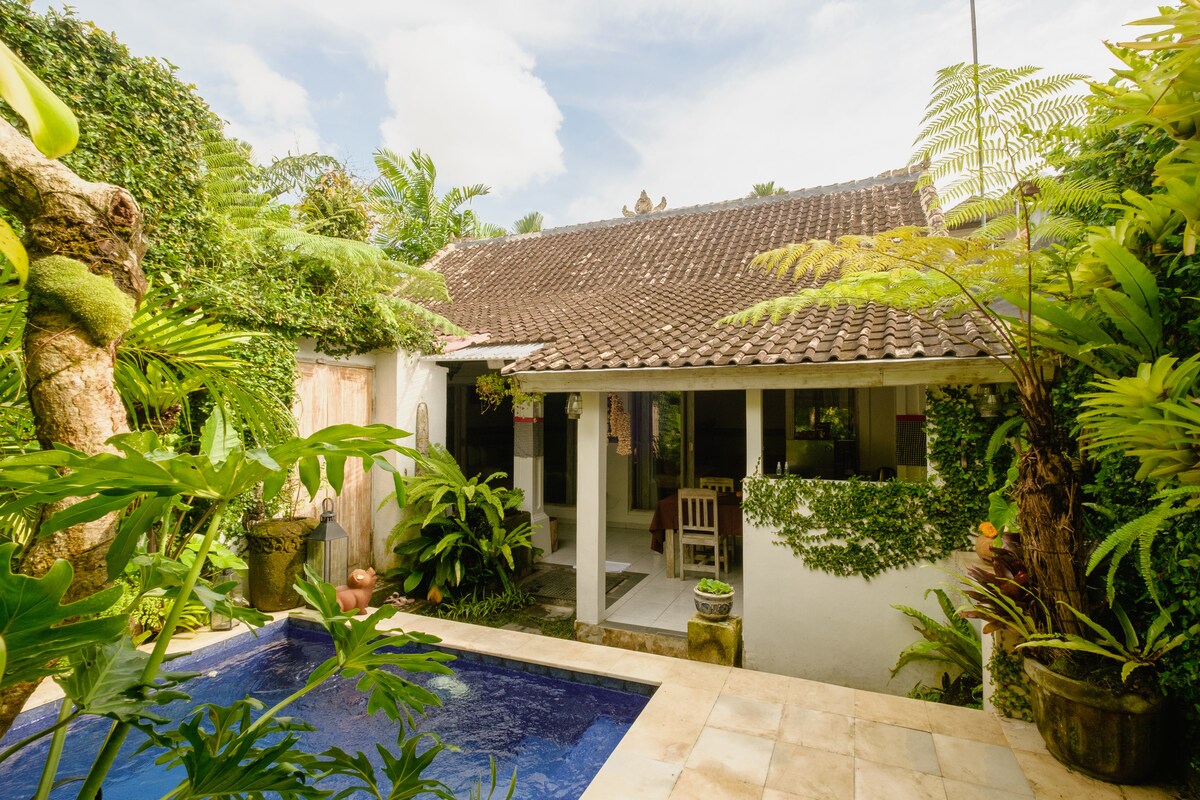 Villa pool and tropical garden